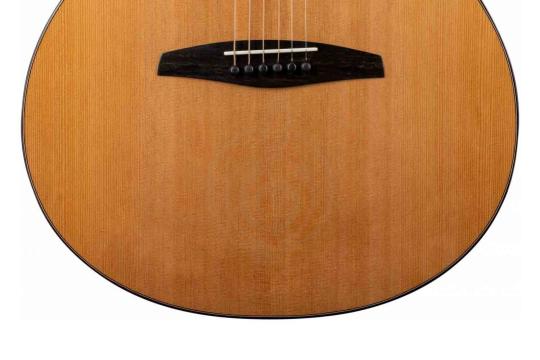 Акустическая гитара ALTAMIRA AGA-15 - Акустическая гитара, ALTAMIRA AGA-15 в магазине DominantaMusic - фото 14