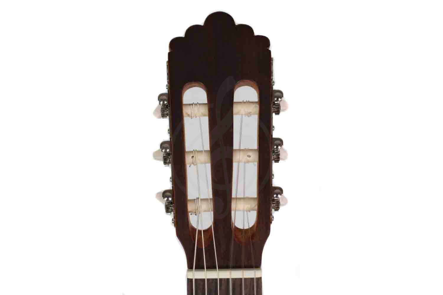 Классическая гитара 4/4 ALTAMIRA Basico+ - Классическая гитара 4/4, ALTAMIRA Basico+ в магазине DominantaMusic - фото 2