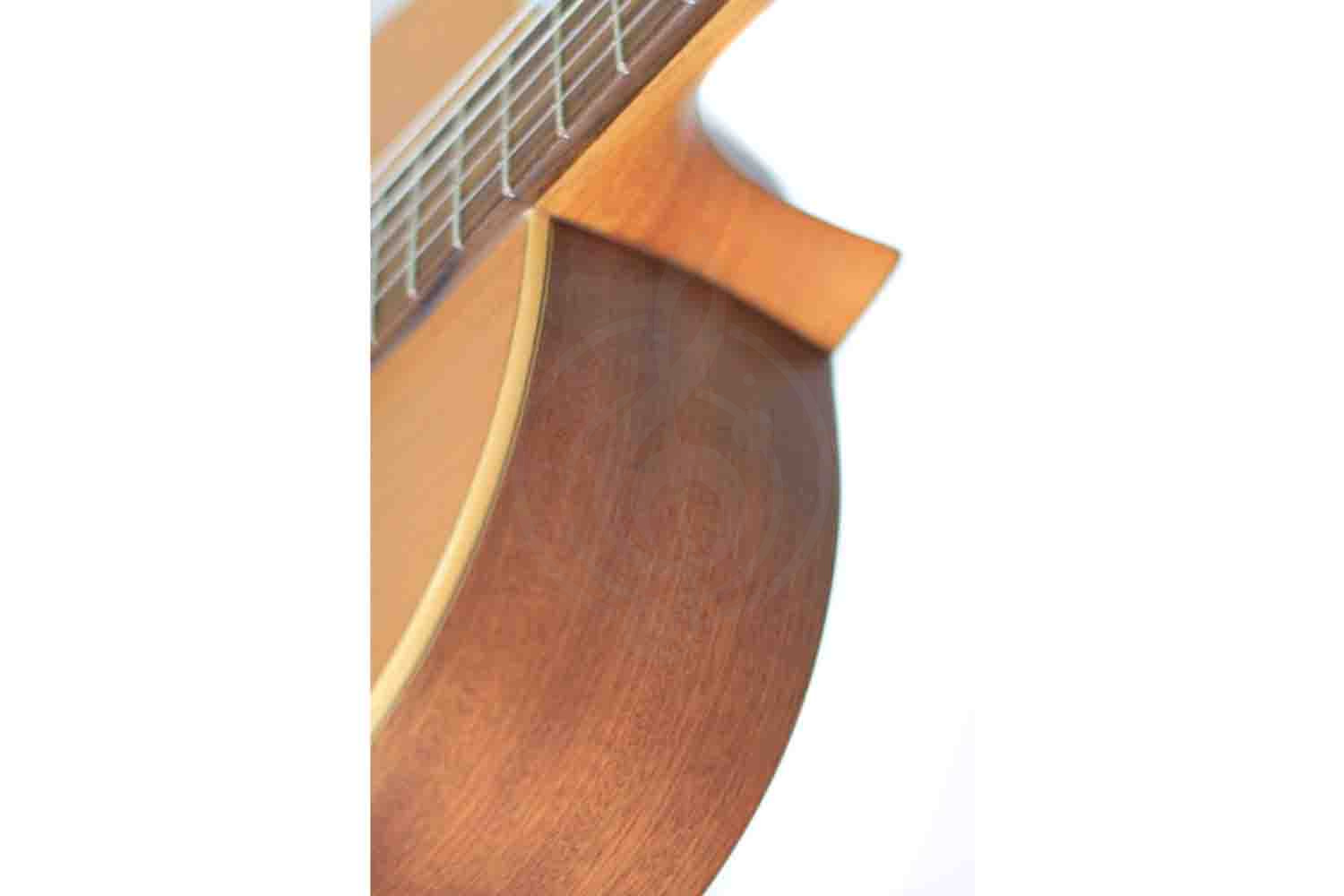 Классическая гитара 4/4 ALTAMIRA Basico+ - Классическая гитара 4/4, ALTAMIRA Basico+ в магазине DominantaMusic - фото 8