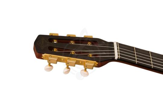 Акустическая гитара ALTAMIRA MD - Акустическая гитара, ALTAMIRA MD в магазине DominantaMusic - фото 2