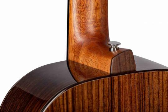 Акустическая гитара ALTAMIRA MP-1 - Акустическая гитара, ALTAMIRA MP-1 в магазине Доминанта мьюзик - фото 2