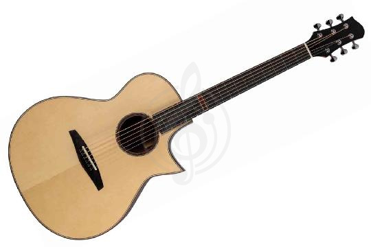 Акустическая гитара ALTAMIRA MPro-1 - Акустическая гитара, ALTAMIRA MPro-1 в магазине Доминанта мьюзик - фото 1