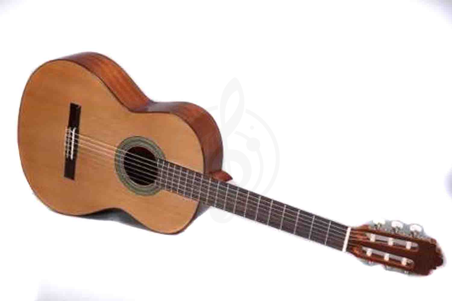 Классическая гитара 4/4 ALTAMIRA N200+  - Классическая гитара 4/4, ALTAMIRA N200+ в магазине DominantaMusic - фото 2