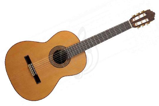 Классическая гитара 4/4 ALTAMIRA N300+ - Классическая гитара 4/4, ALTAMIRA N300+ в магазине DominantaMusic - фото 1