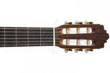 Классическая гитара 4/4 ALTAMIRA N400+ - Rлассическая гитара 4/4, ALTAMIRA N400 в магазине DominantaMusic - фото 10