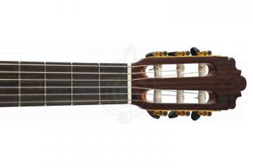 Классическая гитара 4/4 ALTAMIRA N500+ - Rлассическая гитара 4/4, ALTAMIRA  N500+ в магазине DominantaMusic - фото 2