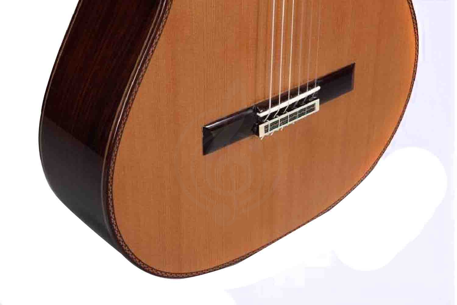 Классическая гитара 4/4 ALTAMIRA N600+ - Rлассическая гитара 4/4, ALTAMIRA N600+  в магазине DominantaMusic - фото 10