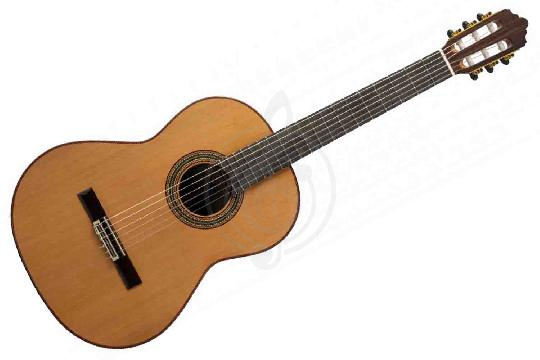 Классическая гитара 4/4 ALTAMIRA N600+ - Rлассическая гитара 4/4, ALTAMIRA N600+  в магазине DominantaMusic - фото 1