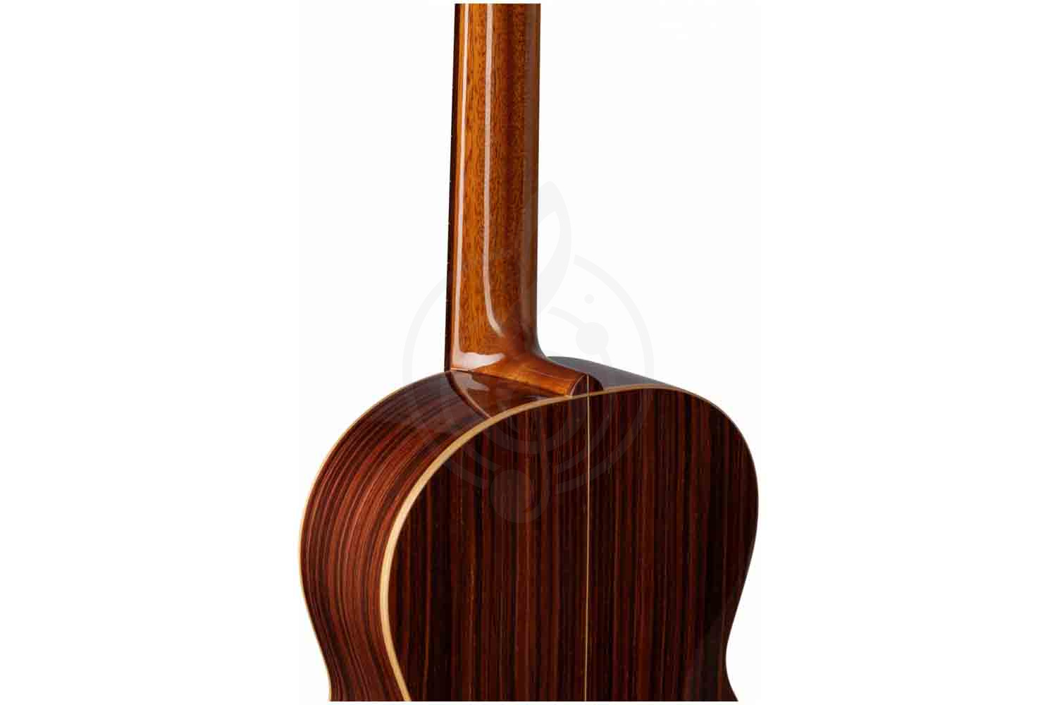 Классическая гитара 4/4 ALTAMIRA Salvador - Классическая гитара 4/4, ALTAMIRA Salvador 4/4 в магазине DominantaMusic - фото 2