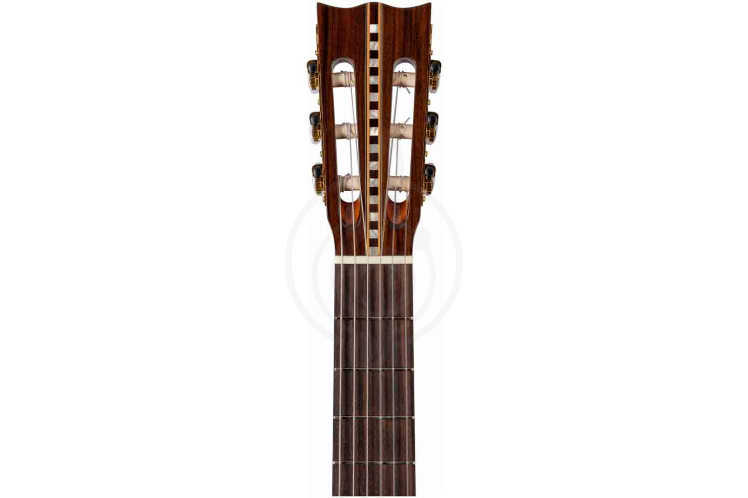Классическая гитара 4/4 ALTAMIRA Salvador - Классическая гитара 4/4, ALTAMIRA Salvador 4/4 в магазине DominantaMusic - фото 4