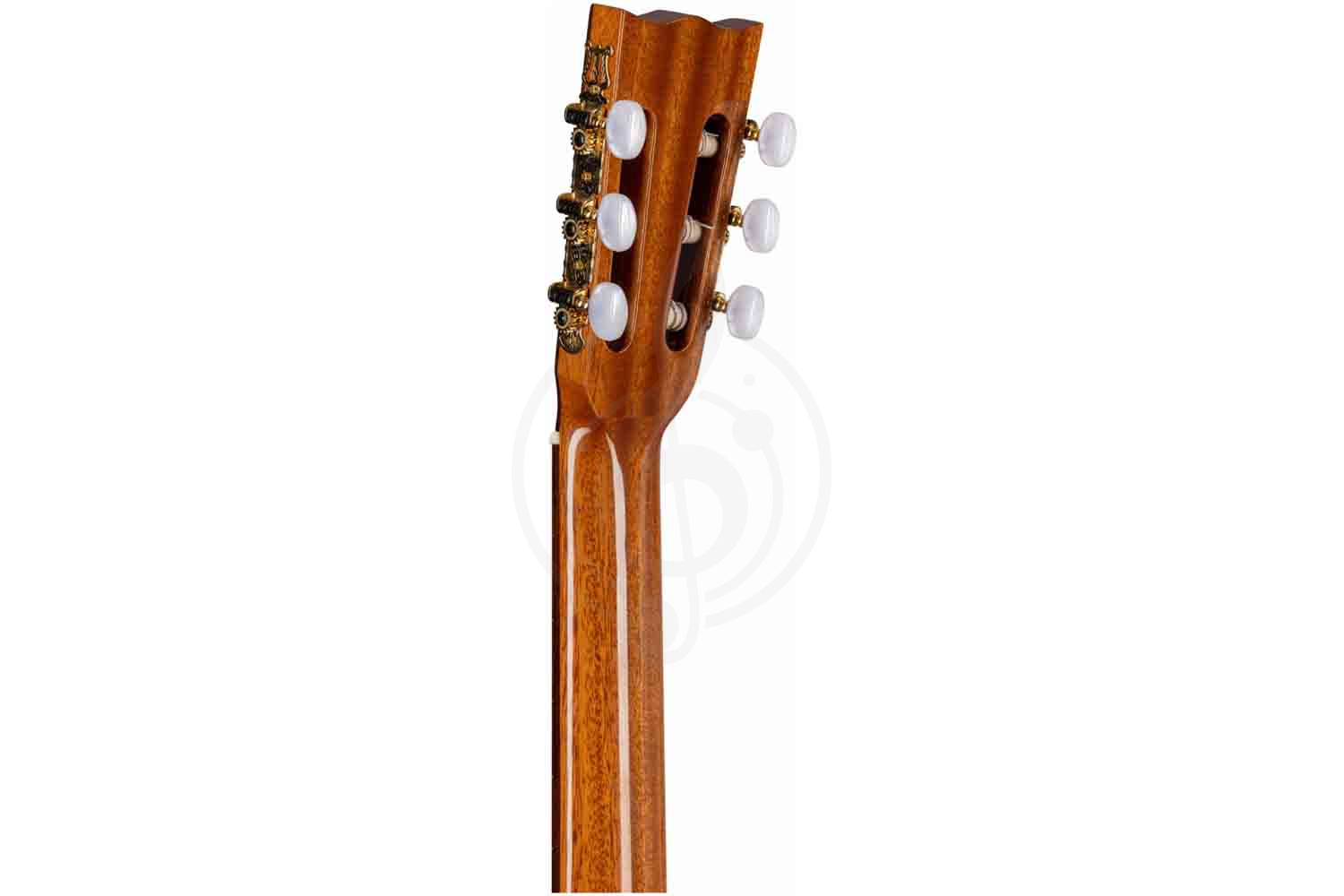 Классическая гитара 4/4 ALTAMIRA Salvador - Классическая гитара 4/4, ALTAMIRA Salvador 4/4 в магазине DominantaMusic - фото 5
