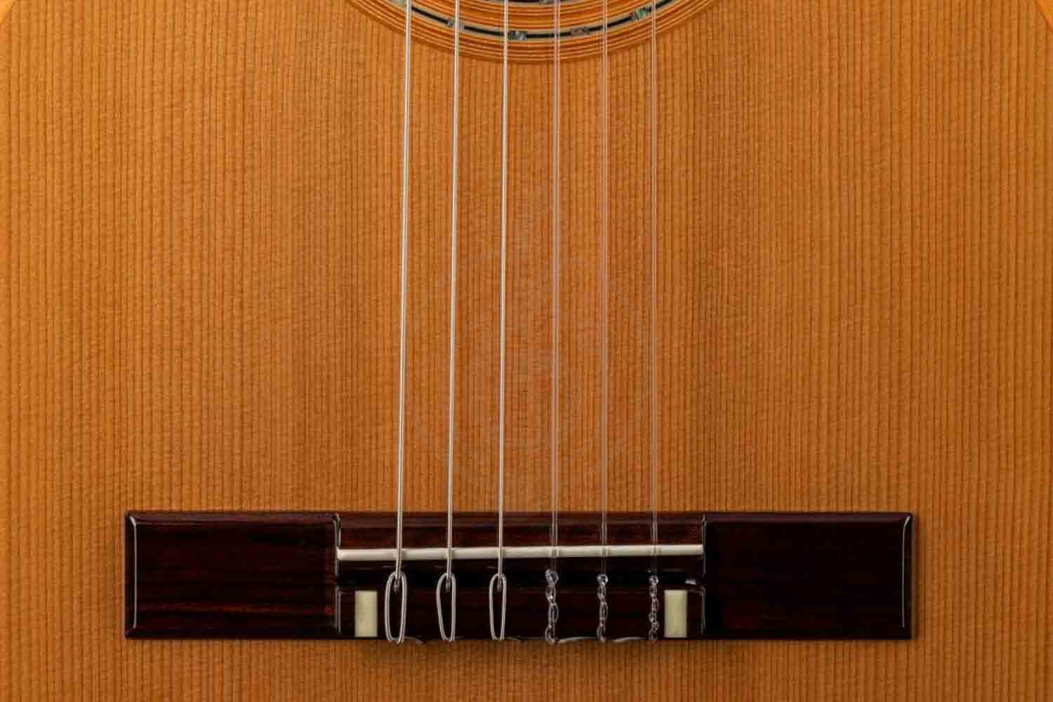 Классическая гитара 4/4 ALTAMIRA Salvador - Классическая гитара 4/4, ALTAMIRA Salvador 4/4 в магазине DominantaMusic - фото 14