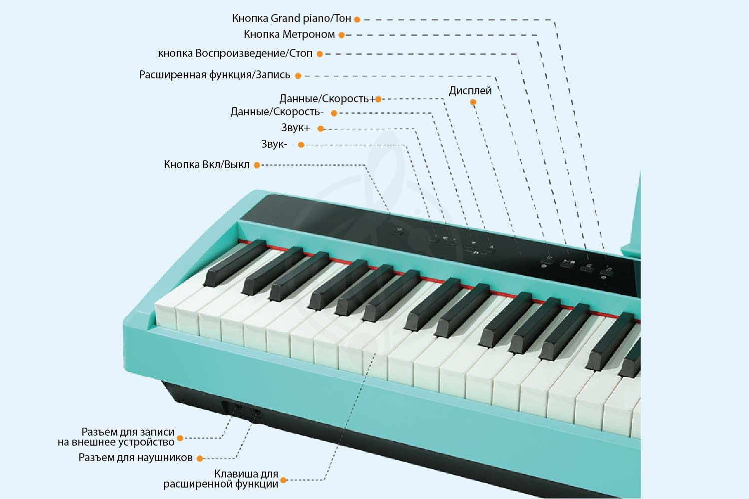 Цифровое пианино Amoy A100WH - Цифровое пианино, 88 клавиш, цвет белый, Amoy A100 WH в магазине DominantaMusic - фото 4