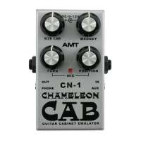 Изображение AMT electronics CHAMELEON