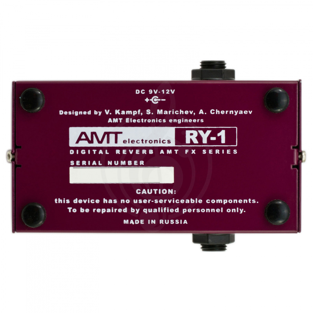 изображение AMT electronics RY-1 - 3
