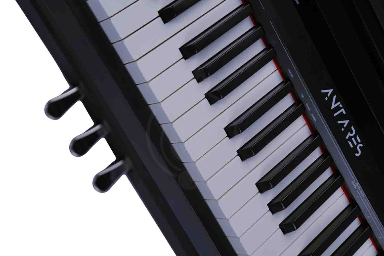 Цифровое пианино Antares D-300  - Цифровое пианино, Antares D-300 в магазине DominantaMusic - фото 4