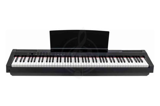 Цифровое пианино ARAMIUS APH-120 BK - Цифровое пианино, ARAMIUS APH-120 BK в магазине DominantaMusic - фото 4