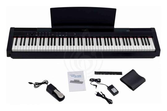 Цифровое пианино ARAMIUS APH-120 BK - Цифровое пианино, ARAMIUS APH-120 BK в магазине DominantaMusic - фото 6