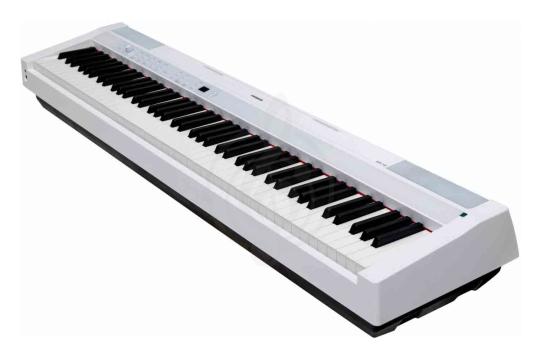 Цифровое пианино ARAMIUS APH-120 WH - Цифровое пианино, ARAMIUS APH-120 WH в магазине DominantaMusic - фото 12