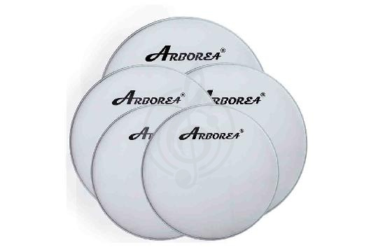 Изображение Arborea ARDLW-10 - Пластик для малого и том барабана 10", белый