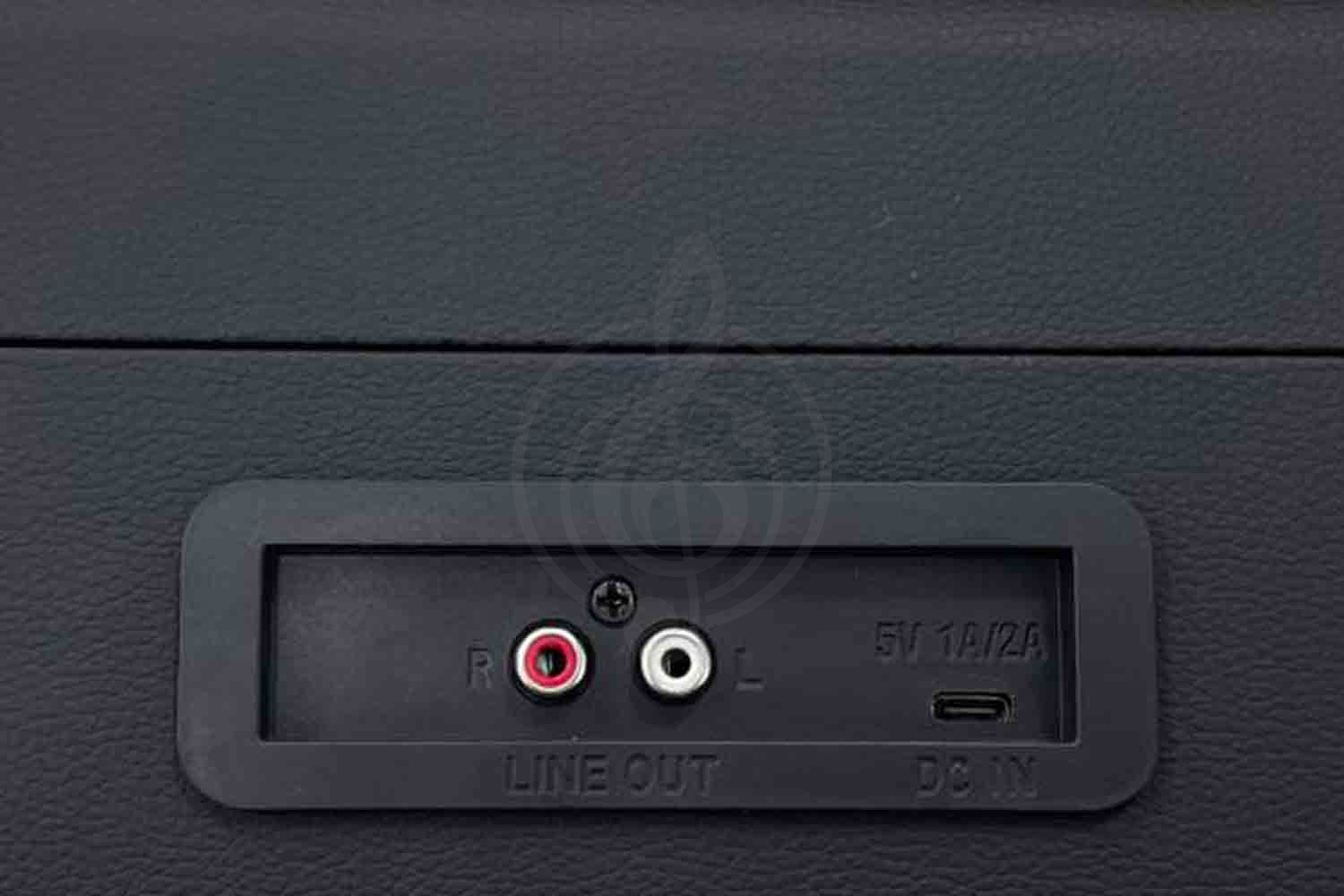 Виниловый проигрыватель Aria Vinyl VRP-1 BK - Виниловый проигрыватель, Aria Vinyl VRP-1 BK в магазине DominantaMusic - фото 4