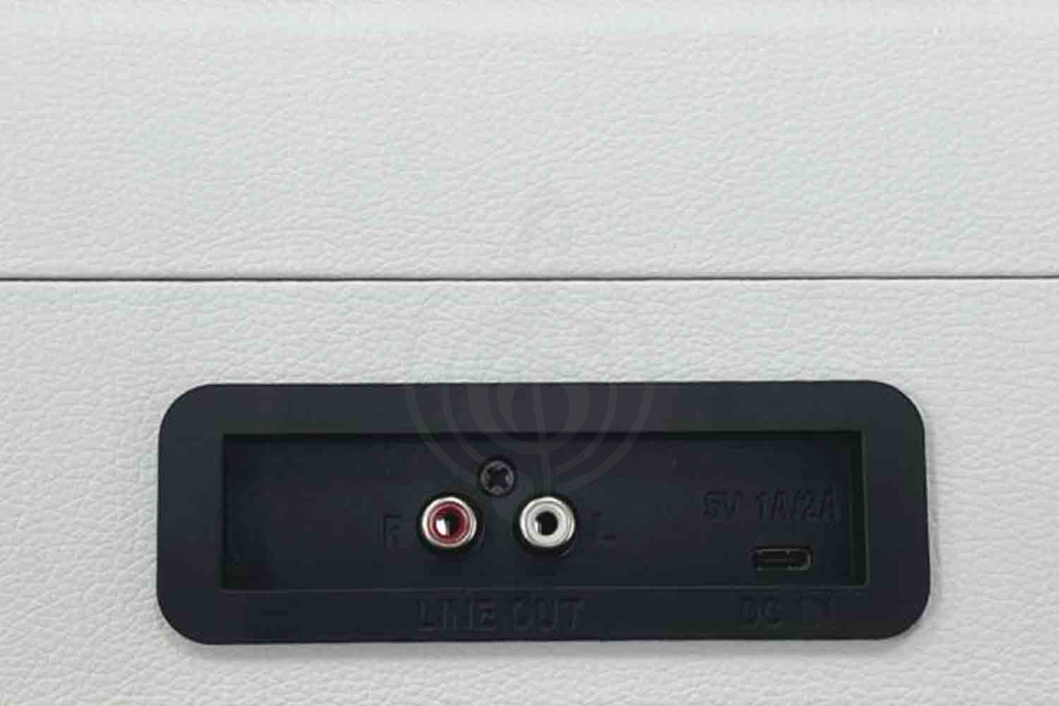 Виниловый проигрыватель Aria Vinyl VRP-1 WH - Виниловый проигрыватель, Aria Vinyl VRP-1 WH в магазине DominantaMusic - фото 2