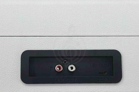Виниловый проигрыватель Aria Vinyl VRP-1 WH - Виниловый проигрыватель, Aria Vinyl VRP-1 WH в магазине DominantaMusic - фото 2