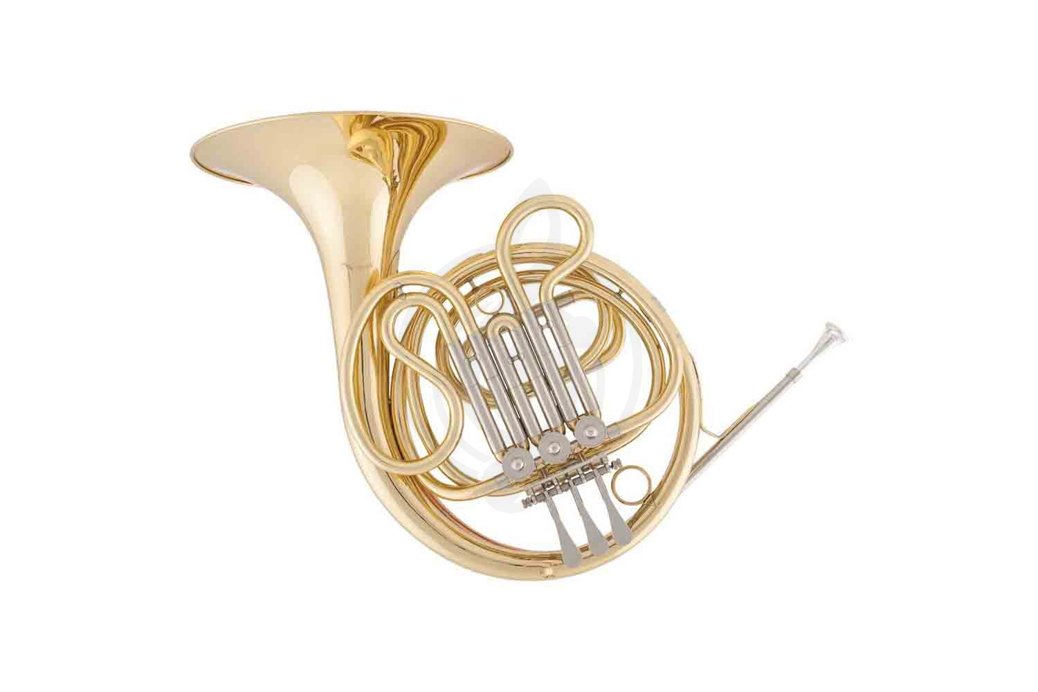 Валторна Arnolds&Sons AHR-301 - Валторна,  AHR-301 в магазине DominantaMusic - фото 1
