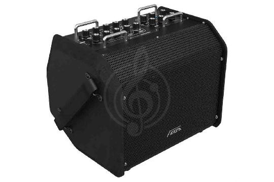 Изображение AROMA AG-80A -  Комбоусилитель для акустической гитары, портативный, 80 Вт