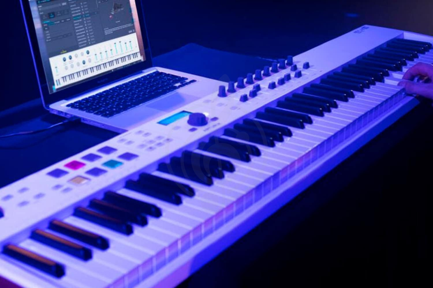 MIDI-клавиатура Arturia KeyLab Essential 88 - MIDI-клавиатура,  KeyLab Essential 88 в магазине DominantaMusic - фото 3