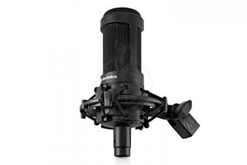 Конденсаторный вокальный микрофон Конденсаторные вокальные микрофоны AUDIO-TECHNICA Audio-Technica AT2035 - вокальный микрофон AT2035 - фото 2