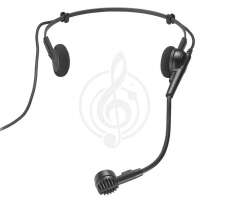 Изображение AUDIO-TECHNICA PRO8HEX