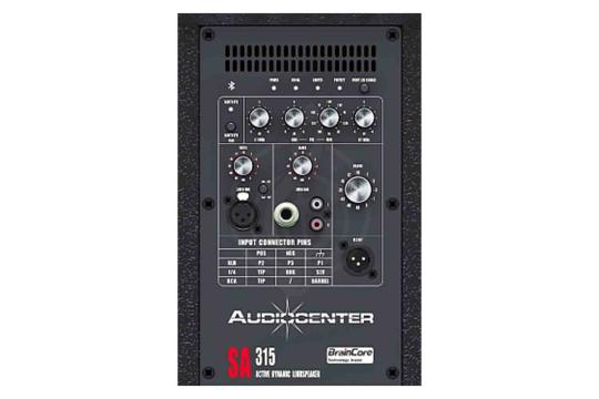Активная акустическая система Audiocenter SA315 - Активная акустическая система,  SA315 в магазине DominantaMusic - фото 4