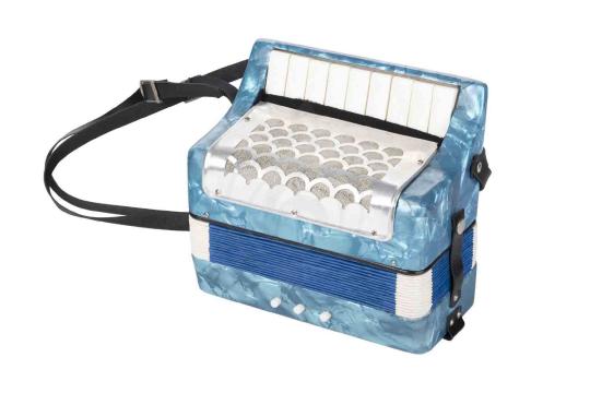 Аккордеон Aurus UC107-L-BLUE - Аккордеон сувенирный,  UC107-L-BLUE в магазине DominantaMusic - фото 3