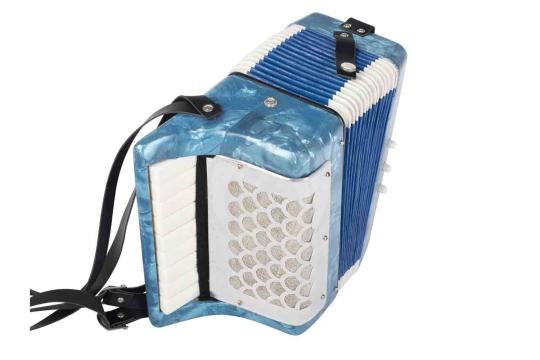 Аккордеон Aurus UC107-L-BLUE - Аккордеон сувенирный,  UC107-L-BLUE в магазине DominantaMusic - фото 4