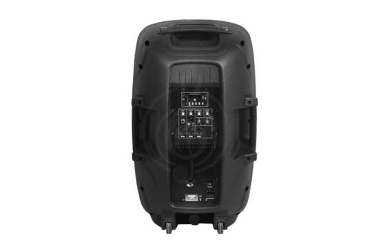 Активная акустическая система Активные акустические системы B&G B&G LF-15AU Активная акустическая система 150Вт LF-15AU - фото 2