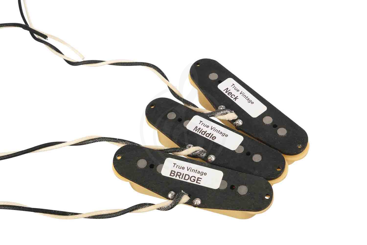 Звукосниматель для электрогитары Bagdasar guitars BGP401SBE True Vintage Stratocaster - Комплект звукоснимателей,  BGP401SBE в магазине DominantaMusic - фото 6