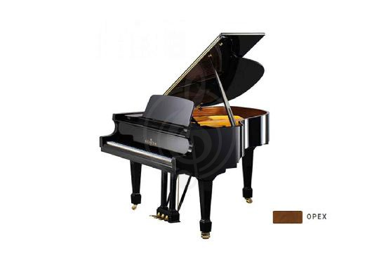 Акустический рояль Bechstein B 160 WAP - Рояль акустический орех, полированный, Bechstein B 160 WAP в магазине DominantaMusic - фото 1