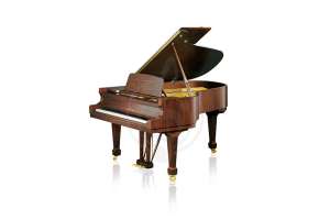 Изображение Bechstein B 190 WAP