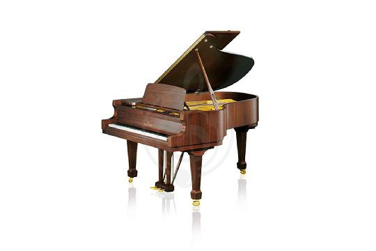 Акустический рояль Bechstein B 190 WAP - Рояль акустический орех, полированный, Bechstein B 190 WAP в магазине DominantaMusic - фото 1
