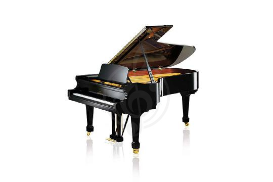 Акустический рояль Bechstein B 228 BLP - Рояль акустический черный, полированный, Bechstein B 228 BLP в магазине DominantaMusic - фото 1