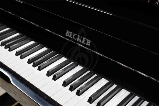 Акустическое пианино Пианино Becker Becker CBUP-112PB пианино черное полированное CBUP-112PB - фото 3