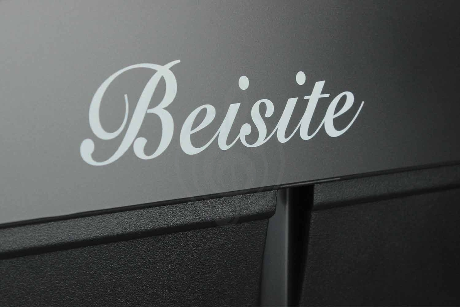 Цифровое пианино BEISITE S-198BK PRO LITE - Цифровое пианино, BEISITE S-198BK PRO LITE в магазине DominantaMusic - фото 3