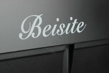 Цифровое пианино BEISITE S-198BK PRO LITE - Цифровое пианино, BEISITE S-198BK PRO LITE в магазине DominantaMusic - фото 3