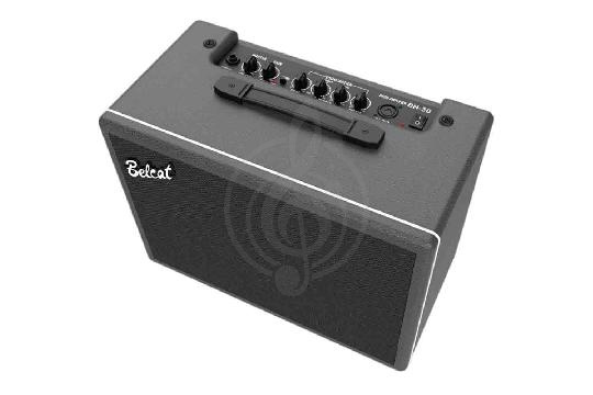 Комбоусилитель для бас-гитары BELCAT BN-30 - Басовый комбоусилитель, 30 Вт, динамик 8', Belcat BN-30 в магазине DominantaMusic - фото 1