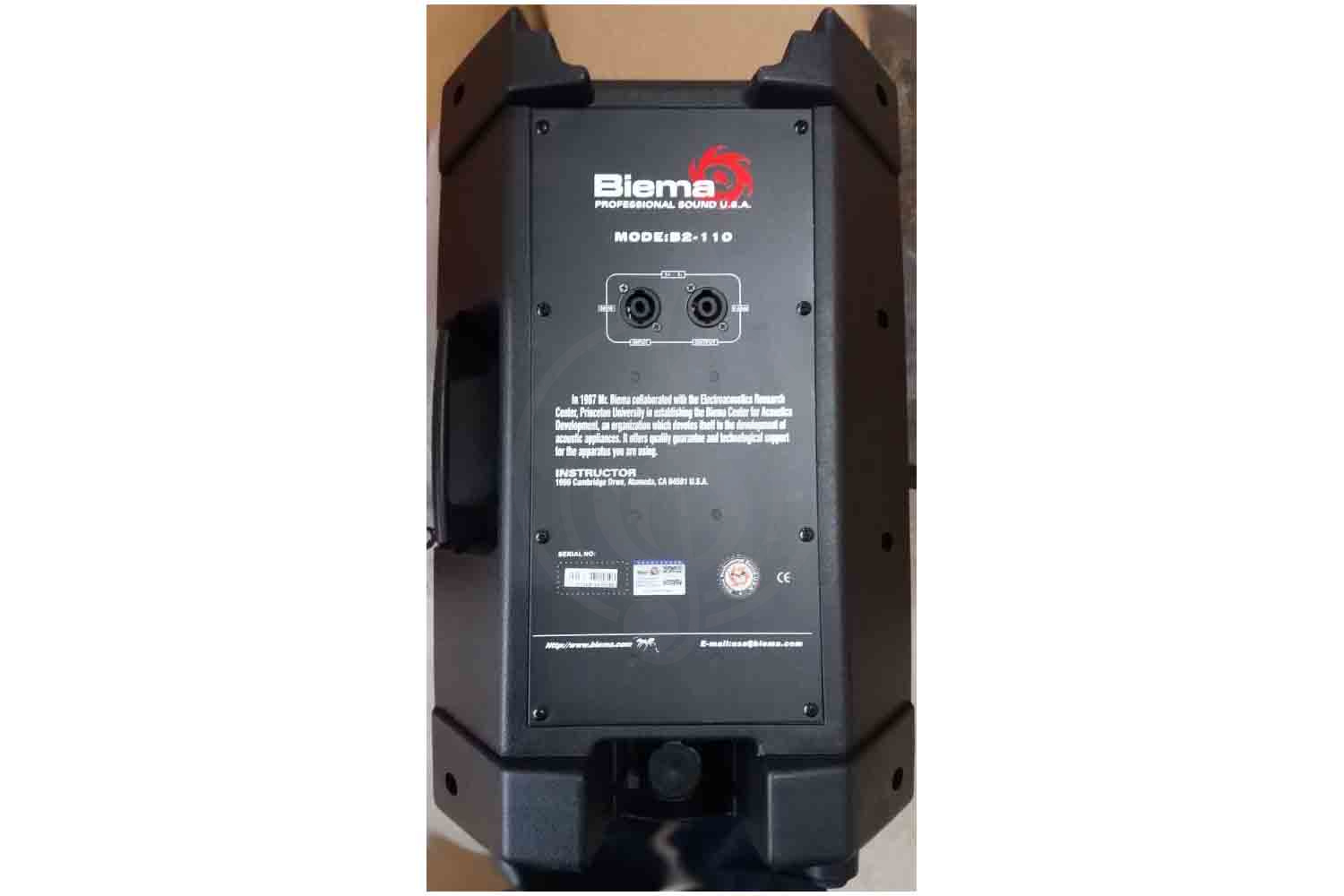 Пассивная акустическая система Biema B2-110 - Пассивная акустическая система, Biema B2-110 в магазине Доминанта мьюзик - фото 2