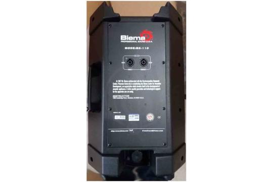 Пассивная акустическая система Biema B2-110 - Пассивная акустическая система, Biema B2-110 в магазине Доминанта мьюзик - фото 2