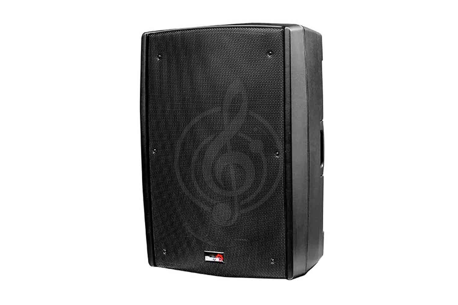 Активная акустическая система Biema B2-115-power - Активная акустическая система, Biema B2-115-power в магазине Доминанта мьюзик - фото 1