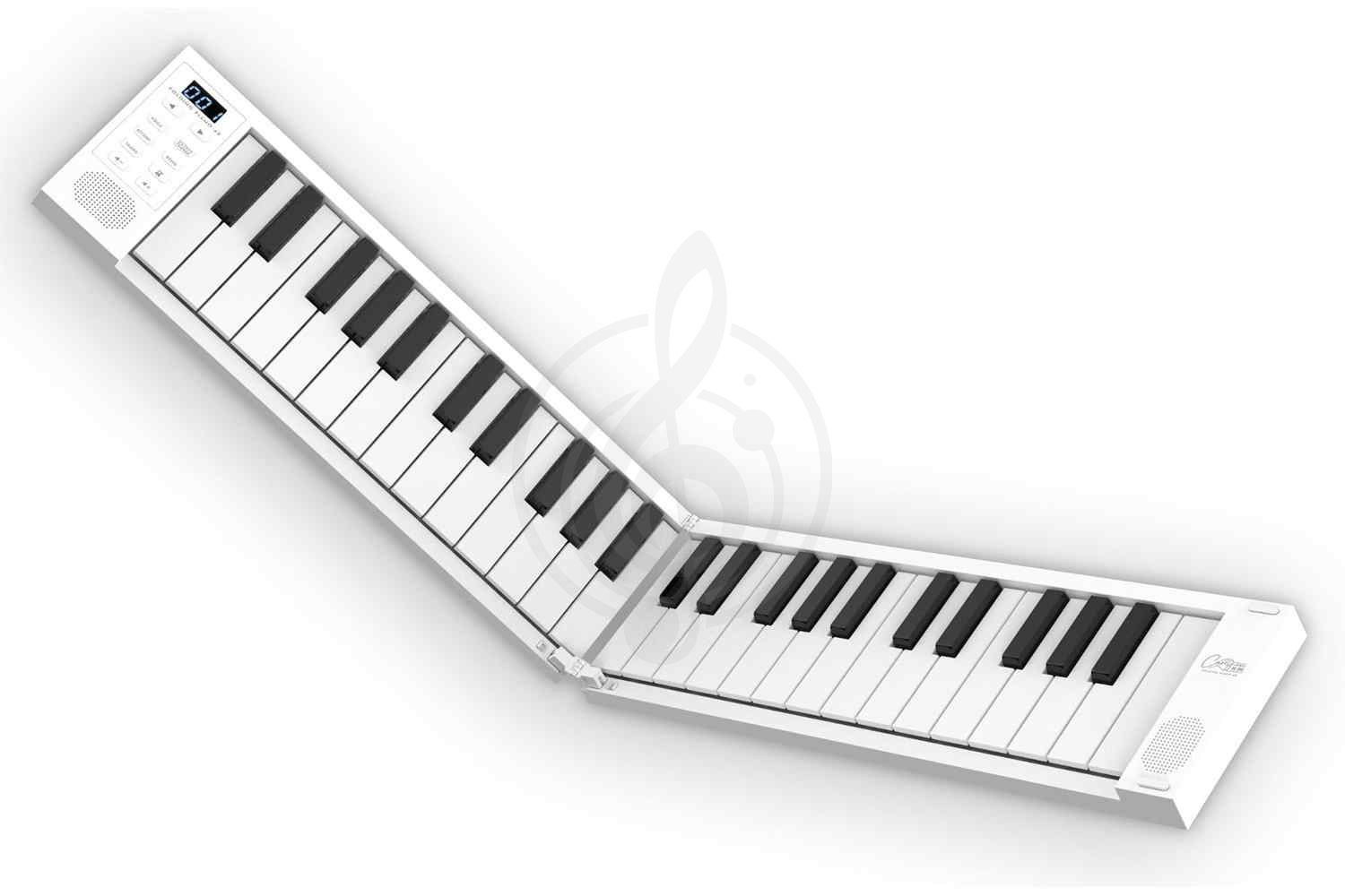 Цифровое пианино Blackstar CARRY-ON 49  - Цифровое пианино, складное, Blackstar CARRY-ON 49 в магазине DominantaMusic - фото 1