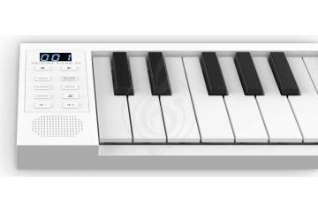 Цифровое пианино Blackstar CARRY-ON 49  - Цифровое пианино, складное, Blackstar CARRY-ON 49 в магазине DominantaMusic - фото 9